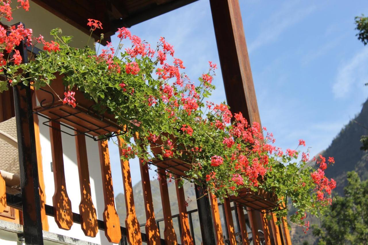 אנטרונפיאנה Villa Egle מראה חיצוני תמונה