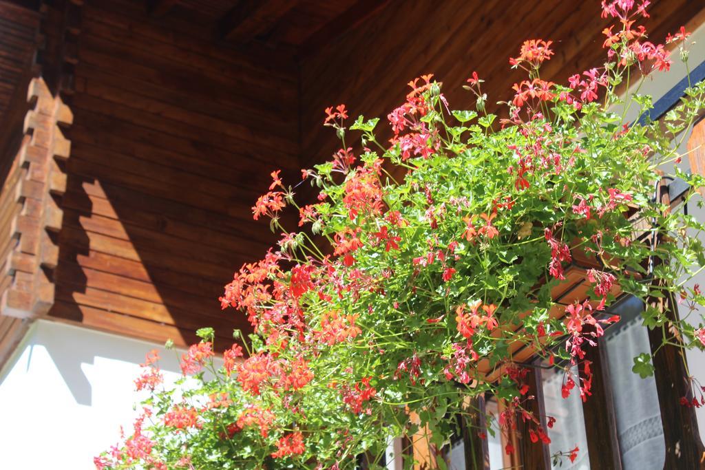 אנטרונפיאנה Villa Egle מראה חיצוני תמונה